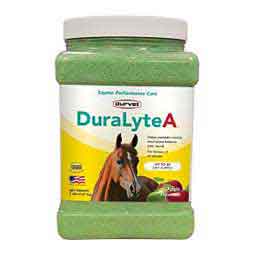 DuraLyte Electrolyte Supplement for Horses  Durvet